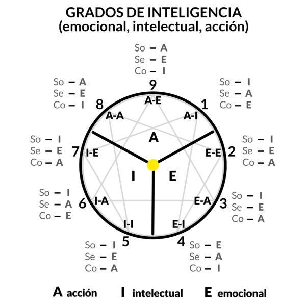 Grados de Inteligencia (emocional, mental, visceral) en cada triada del eneagrama.