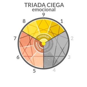 triada ciega - eneatipos 