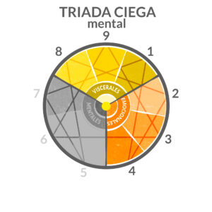  triada CIEGA-eneagrama