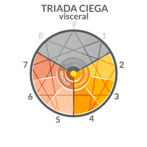  triada CIEGA-eneagrama