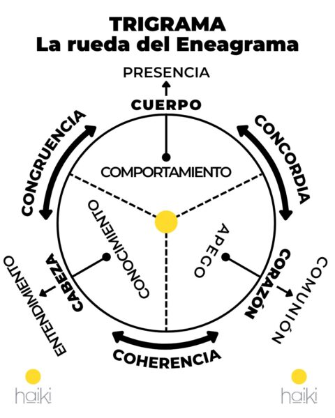 Trigrama: la rueda del Eneagrama- triadas - haiki - naranjo