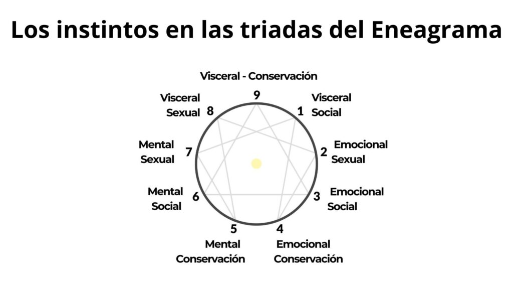 instintos-subtipos-triadas-haiki